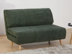 Schlafsofa 2-Sitzer - Cord - Dunkelgrün - PALULA 7 Schlafsofa 2-Sitzer - Cord - Dunkelgrün - PALULA -VIDAXL || HOMCOM Verkäufe 5c36cc194ce228645c7135f9dde423cc